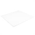 PTFE plaat wit 600x600x8mm