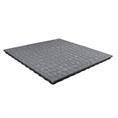 Speelplaatstegel flagstone grijs 100x50x4,8cm