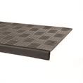 Trapmat tranenplaat motief 750x250mm (Set 5 stuks)